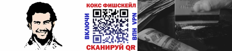 Купить закладки  Комсомольск  COCAIN Эквадор 