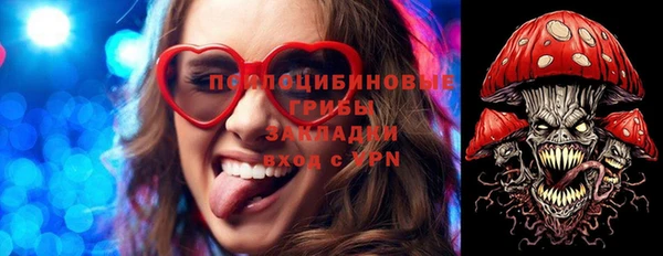 спайс Ельня